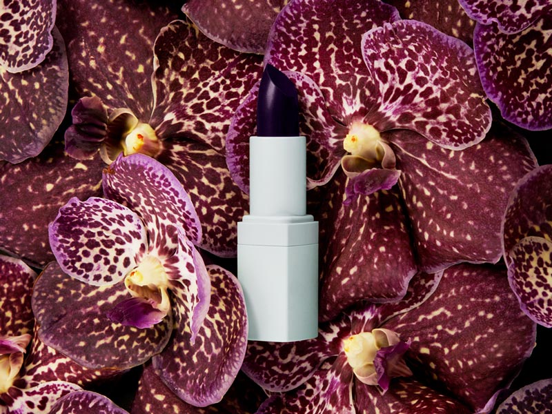 Discover the Best Selection of Beauty Products MECCA